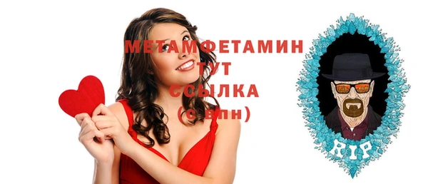 прущие грибы Каменск-Шахтинский