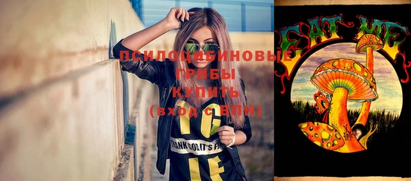 синтетический гашиш Каменногорск