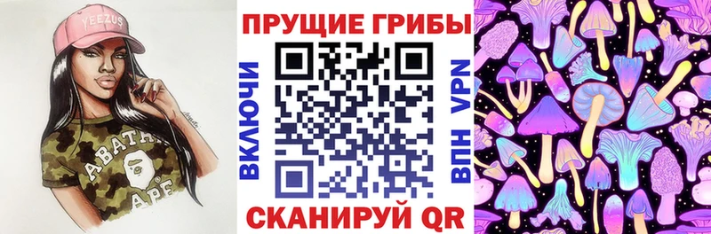 Псилоцибиновые грибы мухоморы  Купить где  Хабаровск 